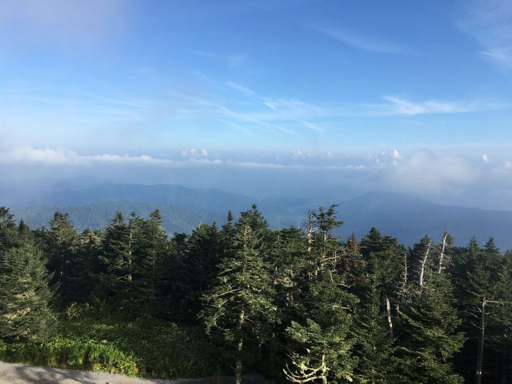 View from the tower, on a cloudy day