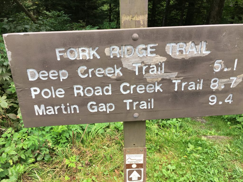 The start of Fork Ridge Trail