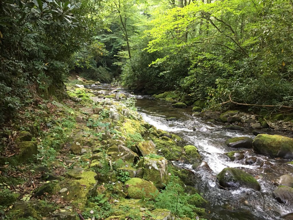 Walking the rocks along Deep Creek