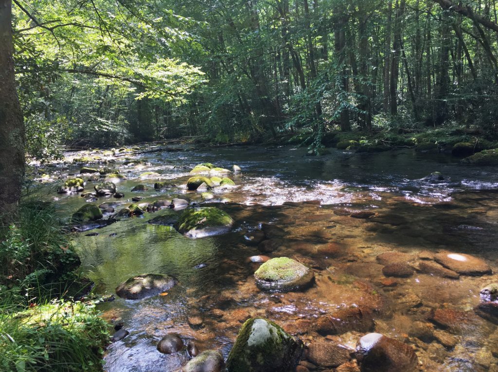 A flatter section of Deep Creek