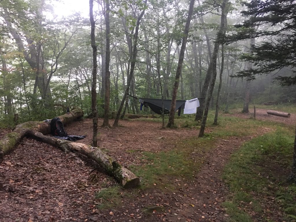 Morning at Newton Bald