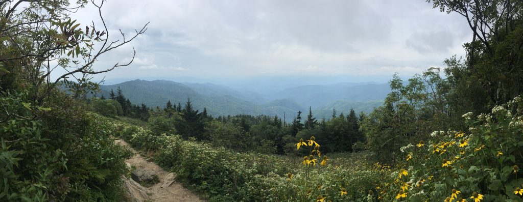 View from Waterrock Knob