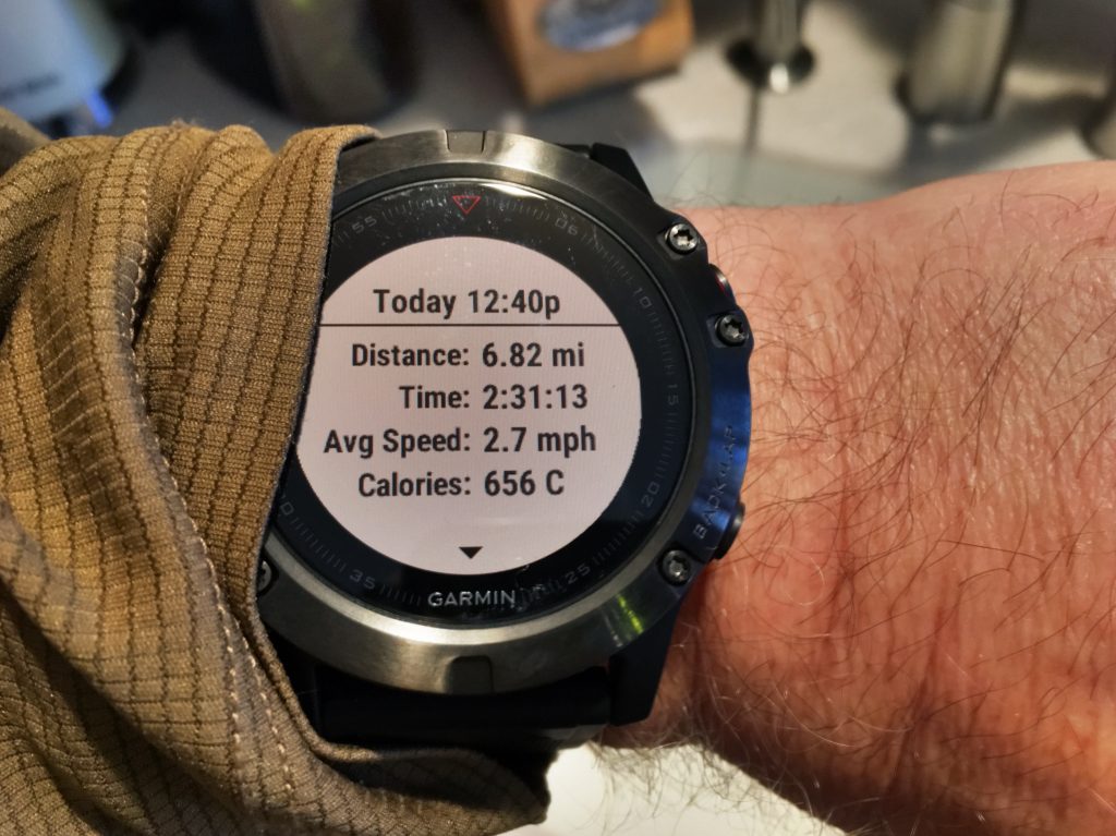 Garmin Fenix 5X Review